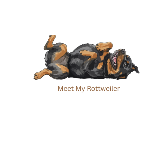 meet my rottweiler (2)