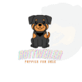 Rottweiler Puppies For Sale