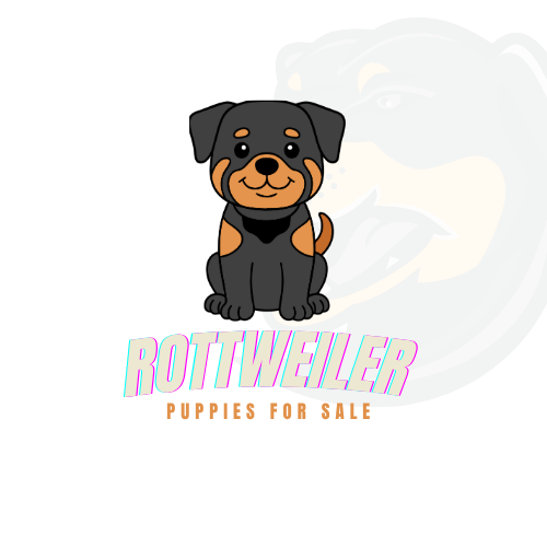 Rottweiler Puppies For Sale